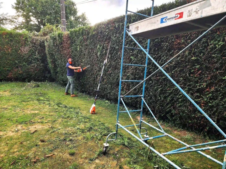 Taille de haie à Valence-en-Poitou (86700) : Un entretien sur-mesure pour le jardin