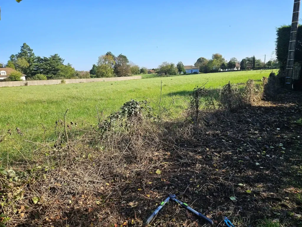 Débroussaillage d'une clôture à Vivonne (86370)