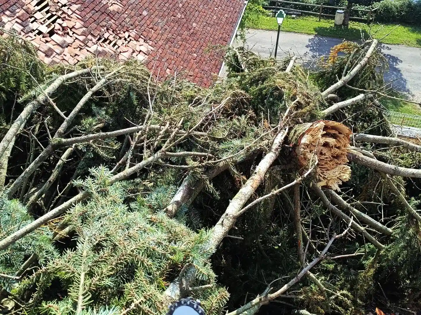 Abattage d'un sapin tombé suite à une tempête à neuville de poitou (86170)